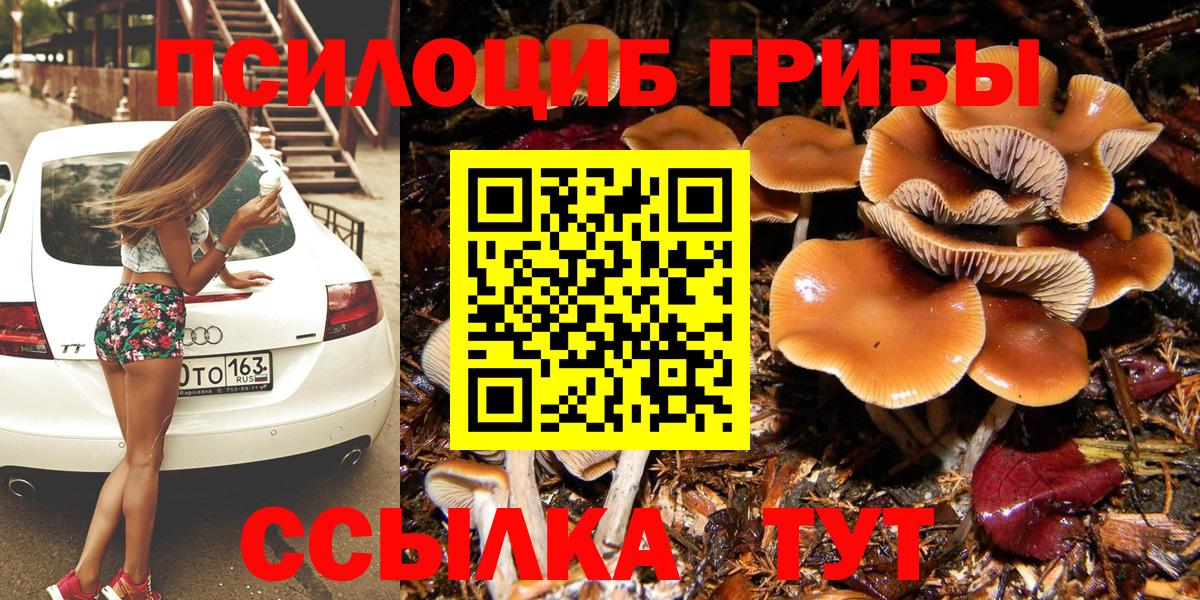 Галлюциногенные грибы мицелий  Псилоцибиновые грибы GOLDEN TEACHER  Вход с VPN  Белгород 